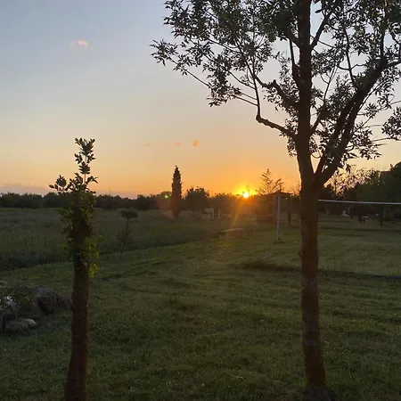 アパート Les Terrasses De La Piscine *